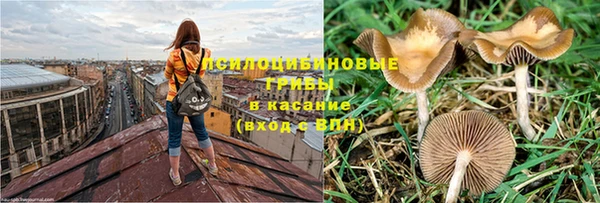 СК Абдулино