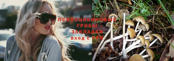 СК Абдулино