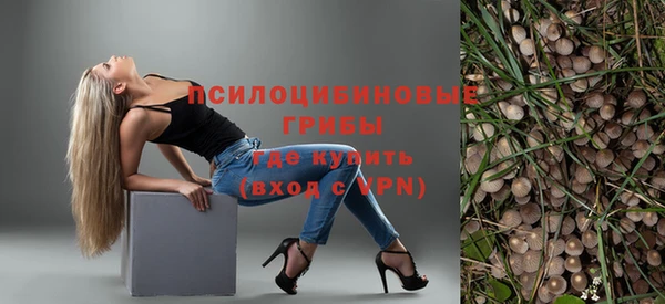 гидропоника Абаза