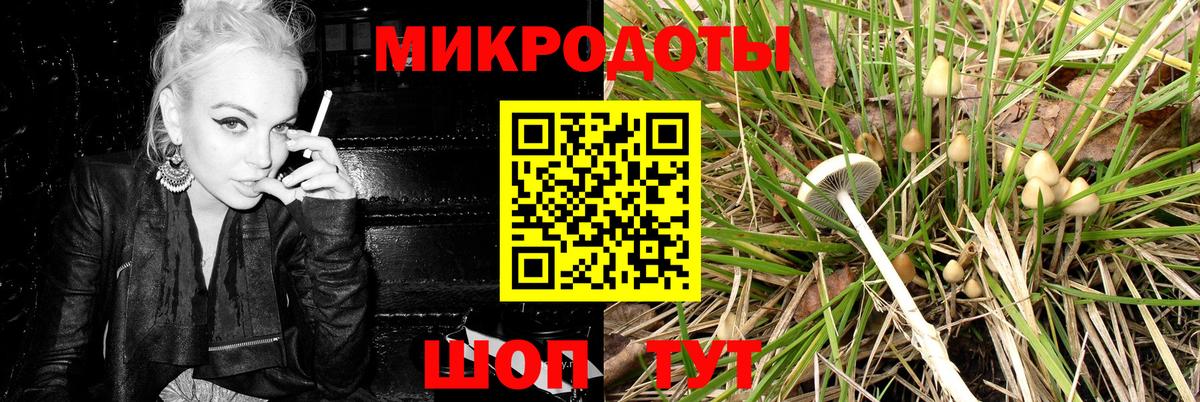 Галлюциногенные грибы прущие грибы  где можно купить наркотик  Вход с VPN  Кинешма  Псилоцибиновые грибы MAGIC MUSHROOMS 